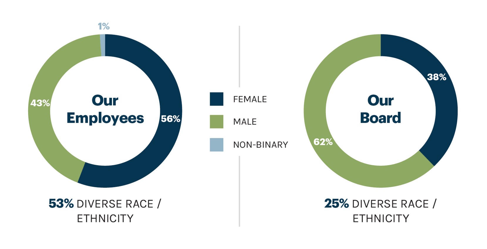 piechartsboarddiversity_1.jpg