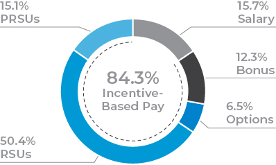 piechart_ceotargetcompensation.jpg