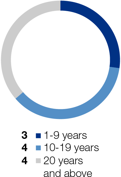 03_426954-1_piechart_Tenure.jpg