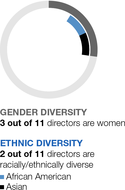 03_426954-1_piechart_Ethnic-Gender.jpg