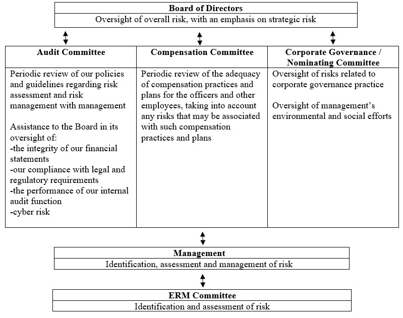 Chart - BOD and Committees - Risk Oversightv3v8.jpg