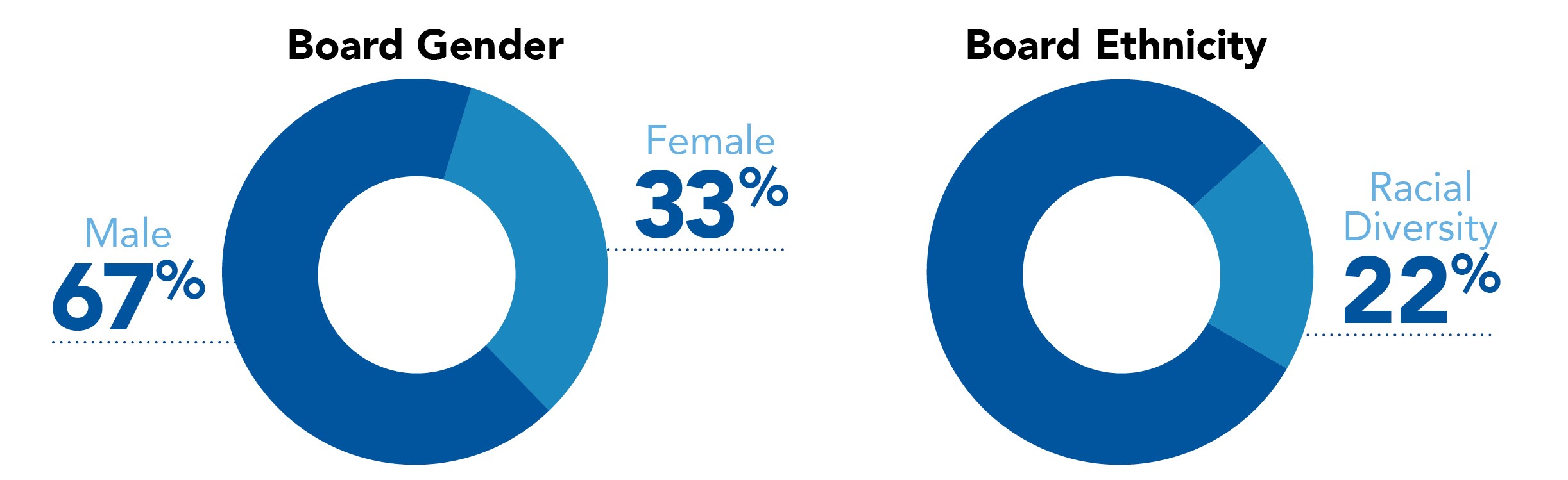 BoardGenderEthnicityGraph_v3.jpg