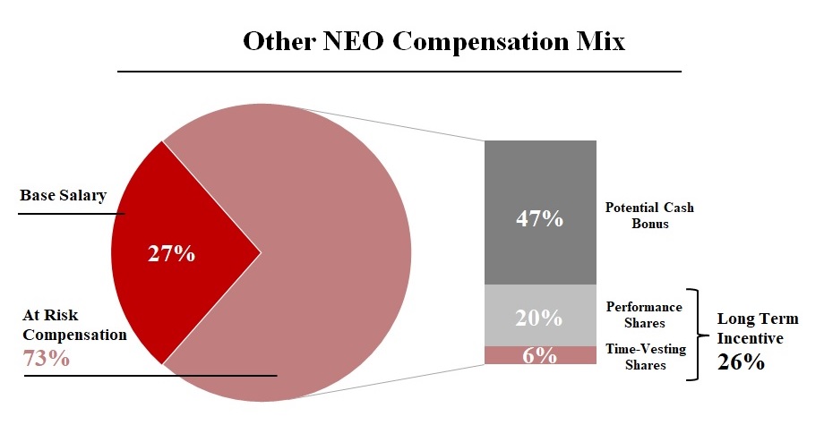 neo comp mix pie chart.jpg