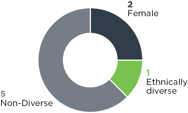 piechart_Diversity.ai.jpg